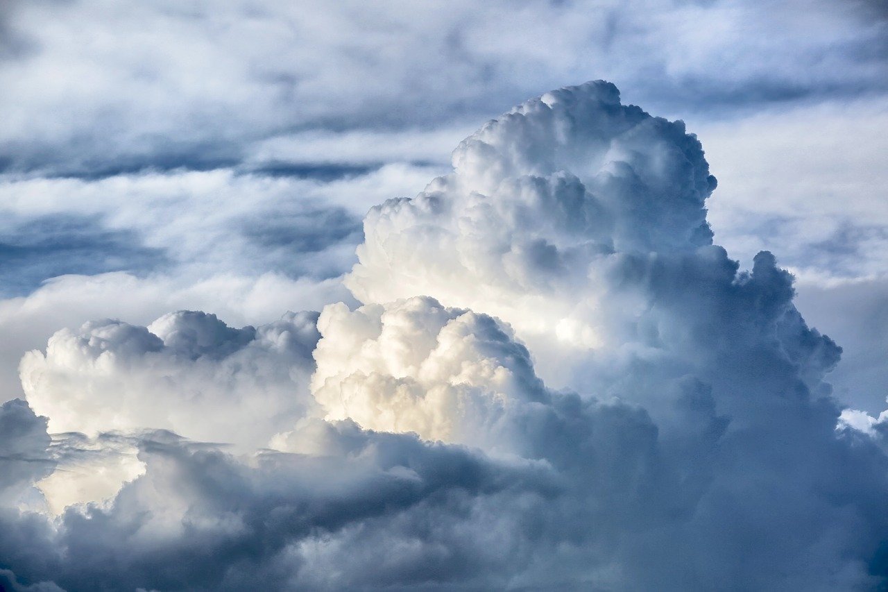nature-3294543_1280.jpg