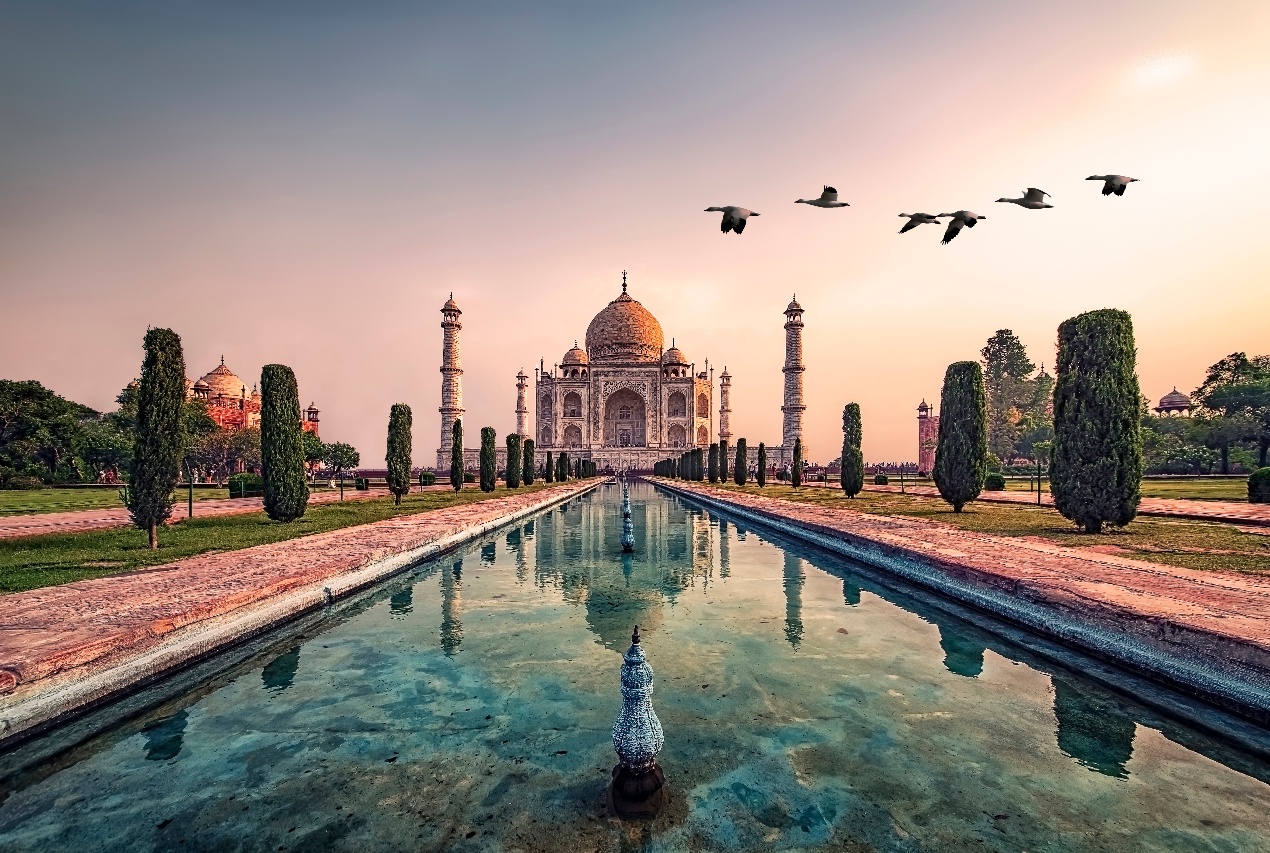 AdobeStock_265642486-1