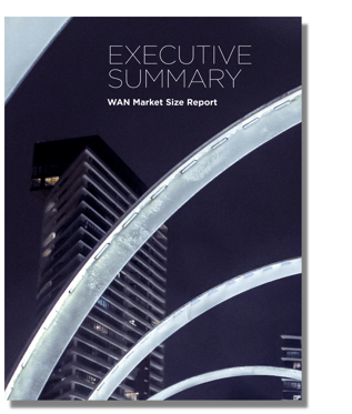 wmsr executive summary-1