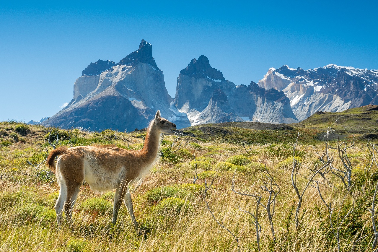 AdobeStock_127818864-1