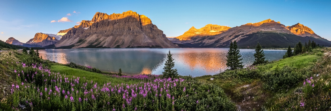 AdobeStock_90397338-1